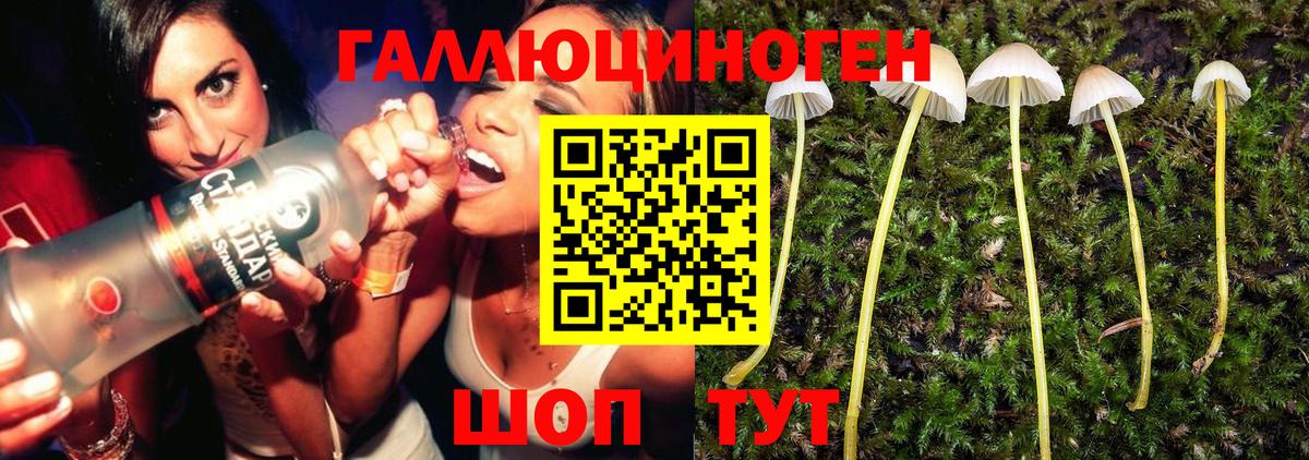Галлюциногенные грибы ЛСД Ртищево